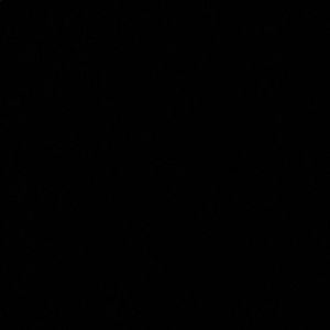 Meet your Posher, Donnavan